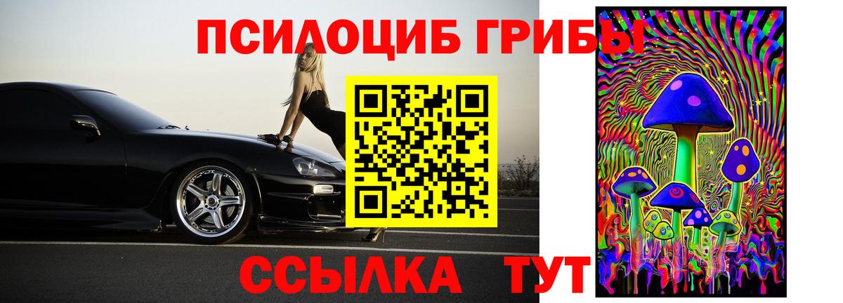 Галлюциногенные грибы GOLDEN TEACHER  Вход с VPN  цена   Железноводск 